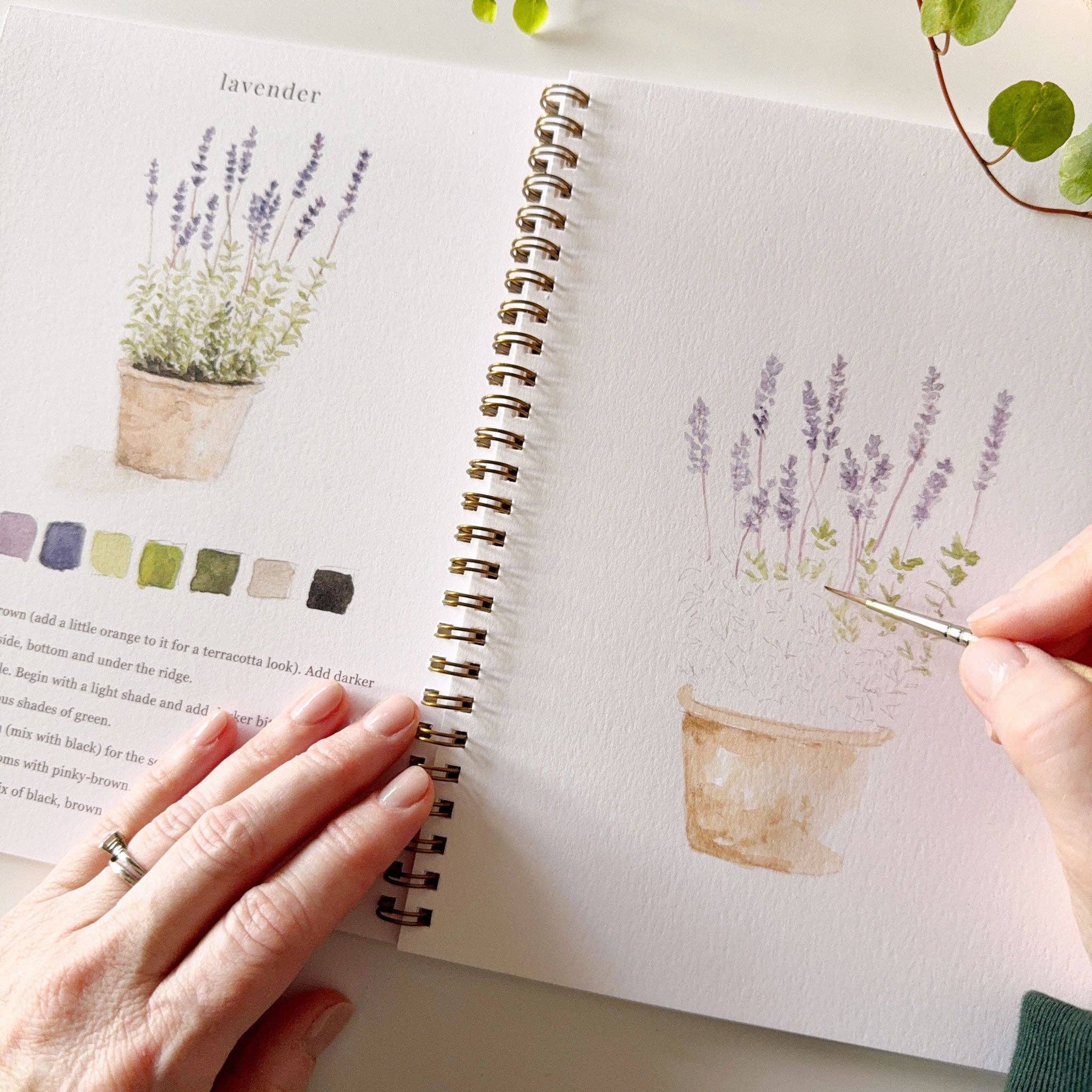 Emily Lex Garden Watercolor Workbook