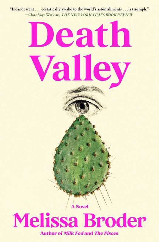 Death Valley: A Novel by Melissa Broder