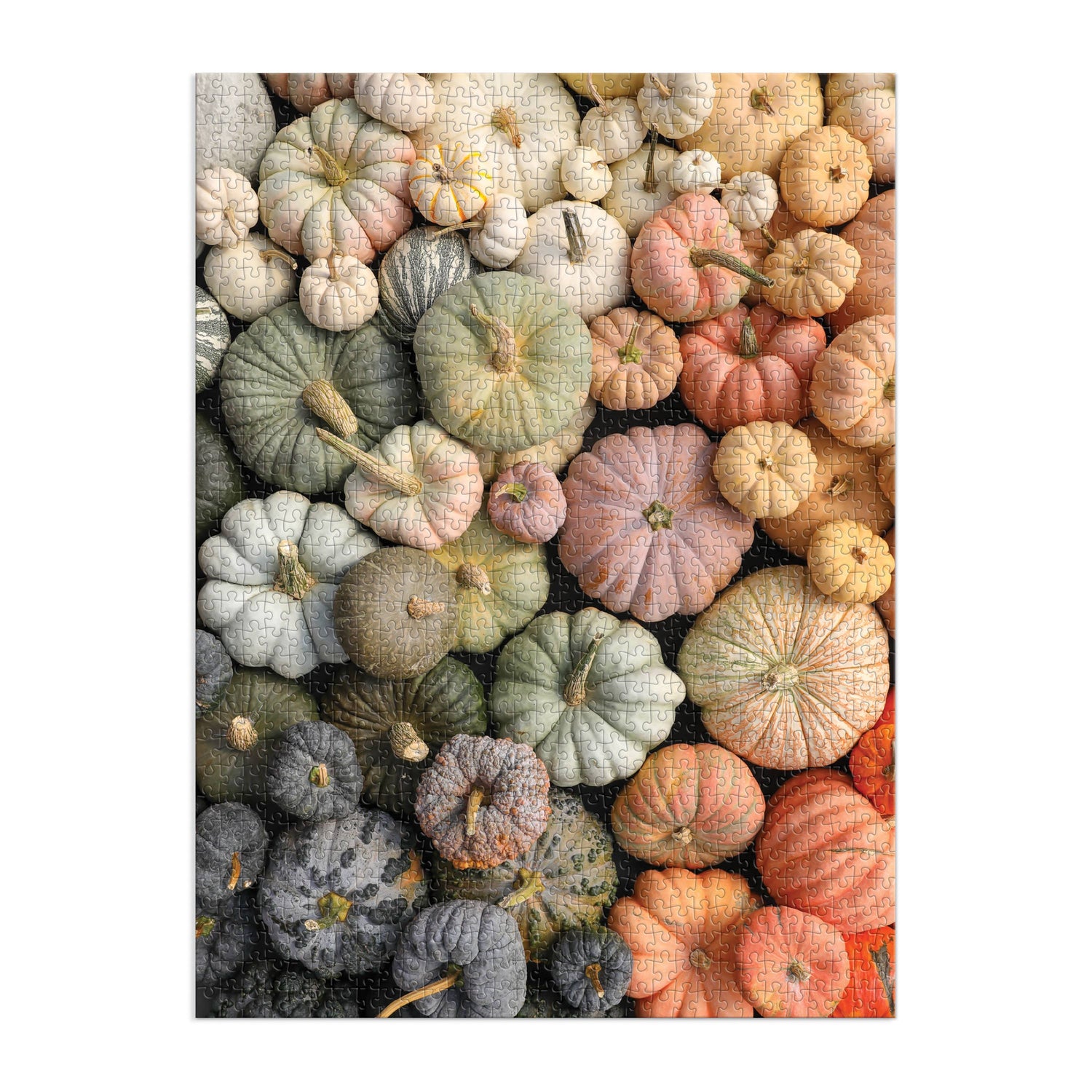 Galison Heirloom Pumpkins 1000 Piece Puzzle