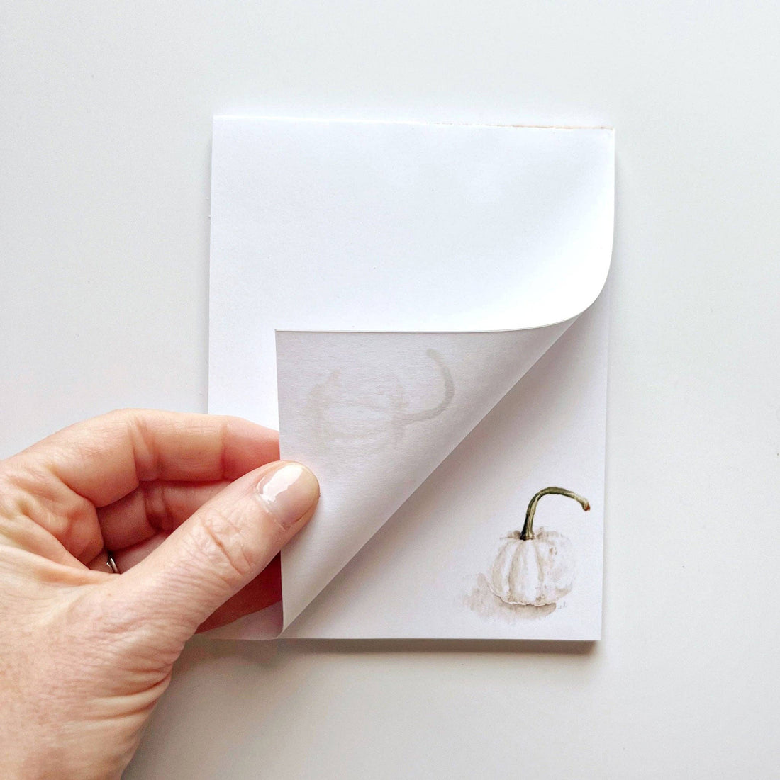 White Pumpkin Notepad by Emily Lex