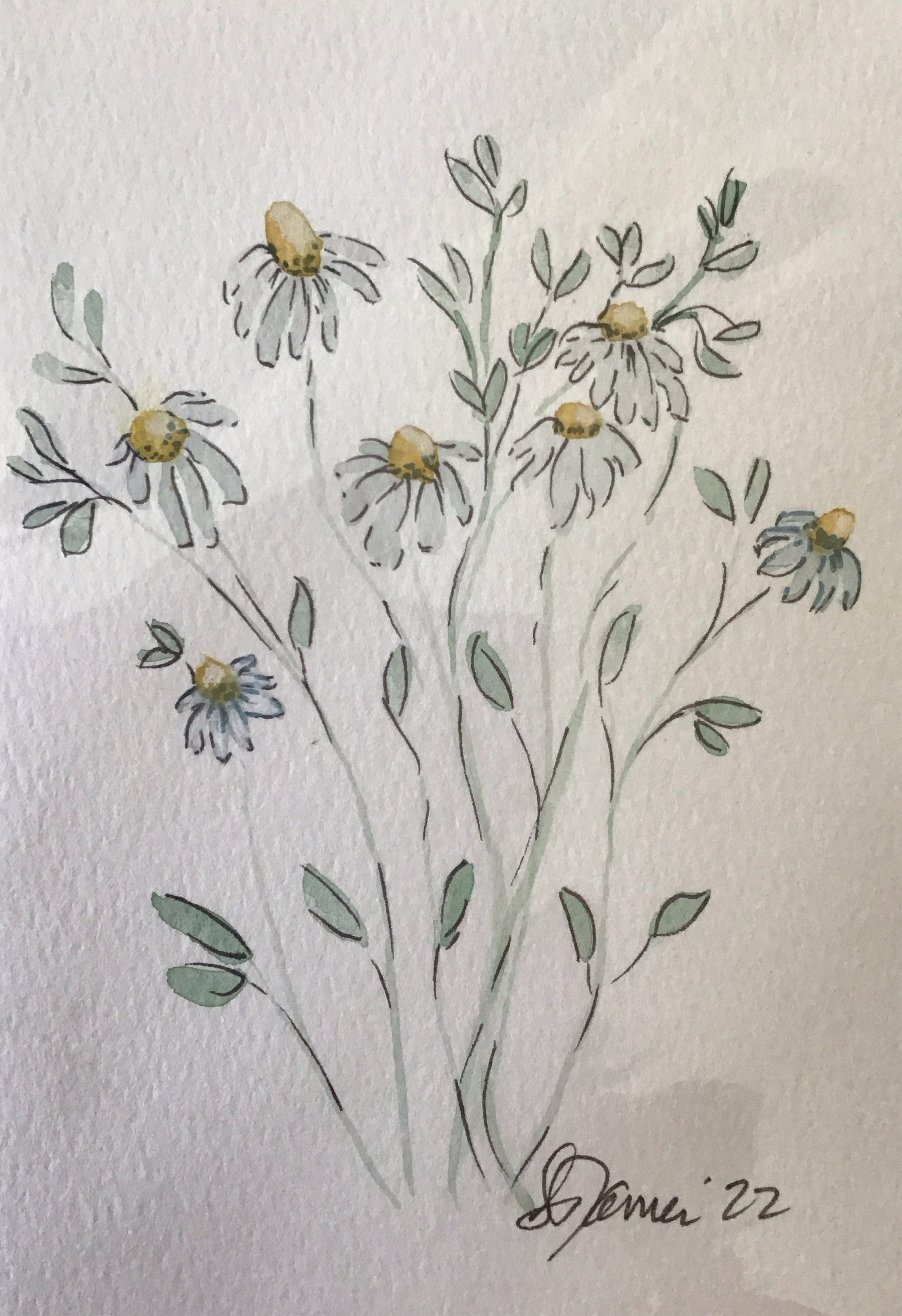 Susie James Watercolor Daisies Art Print