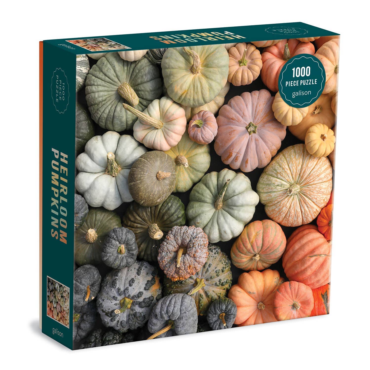 Galison Heirloom Pumpkins 1000 Piece Puzzle