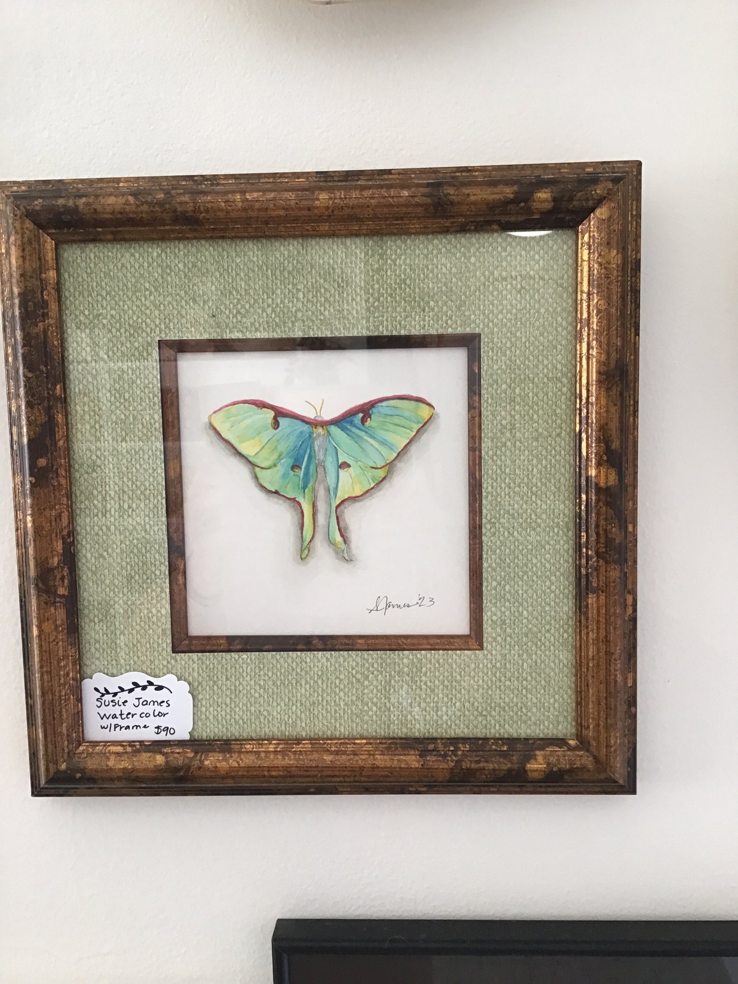 Susie James Watercolor Framed Moth Art Print