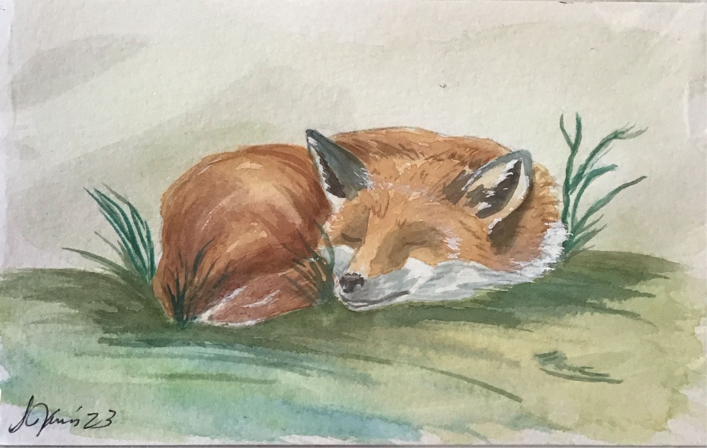 Susie James Watercolor Sleeping Fox Art Print