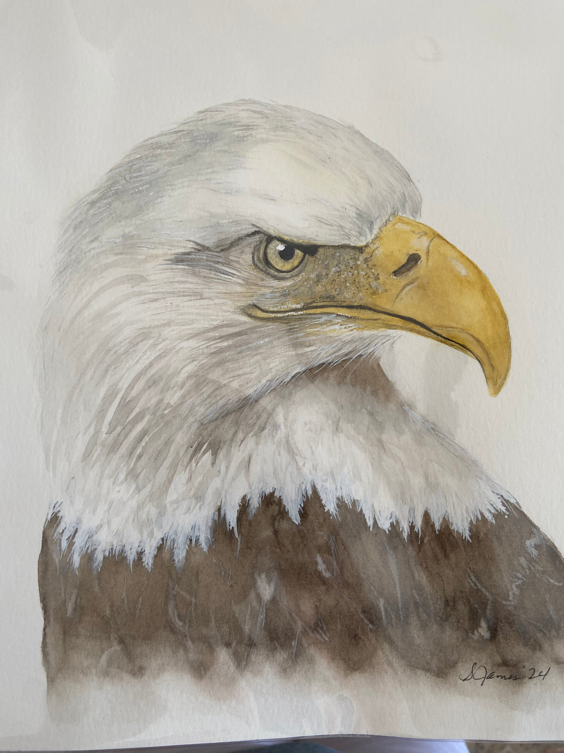 Susie James Watercolor Eagle