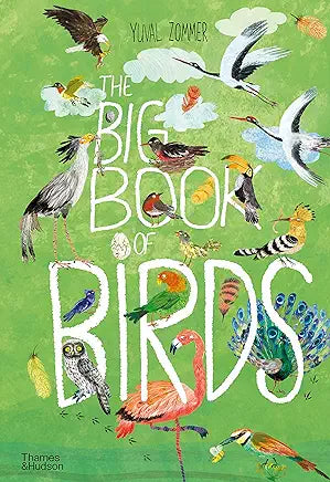 The Big Book of Birds by Yuval Zommer