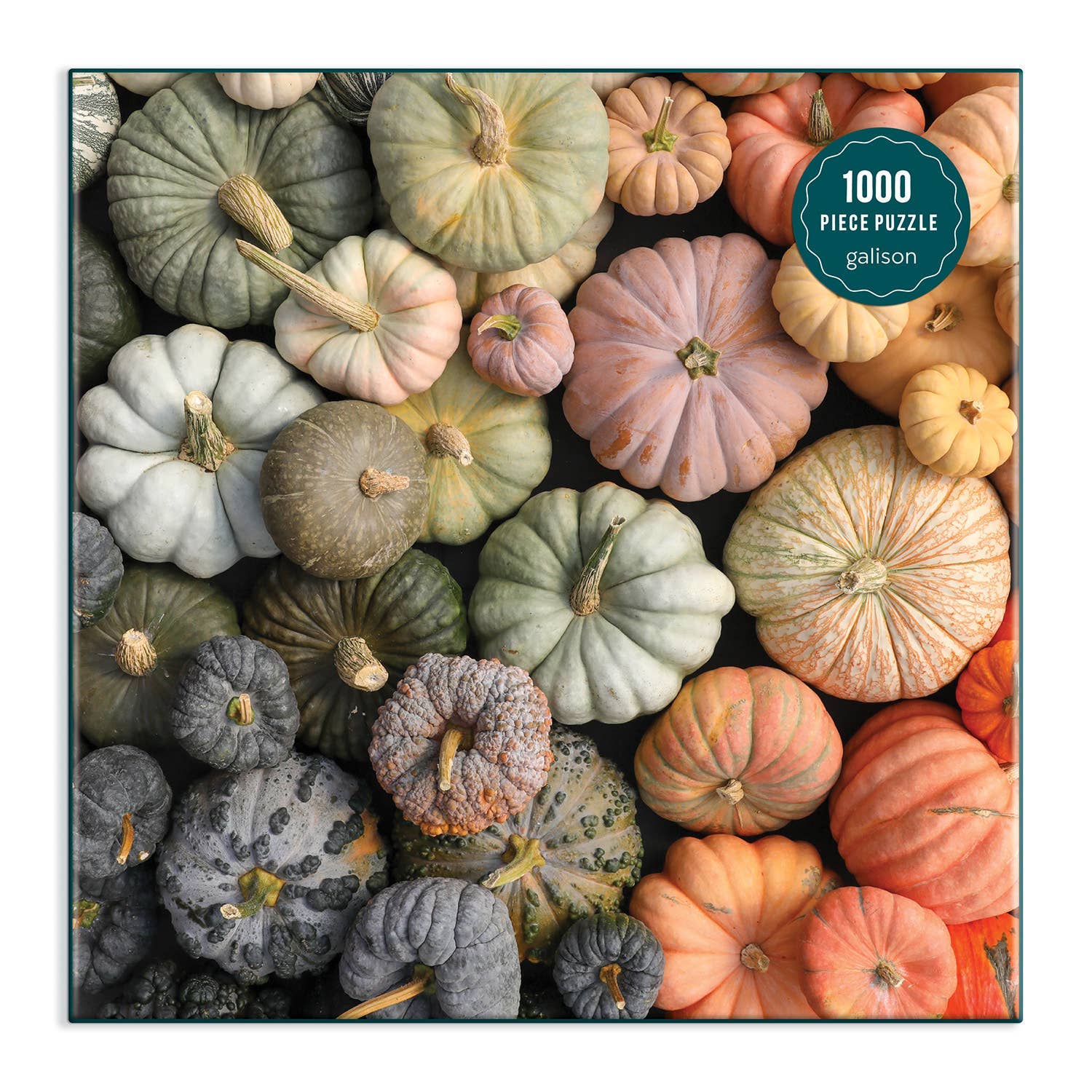 Galison Heirloom Pumpkins 1000 Piece Puzzle