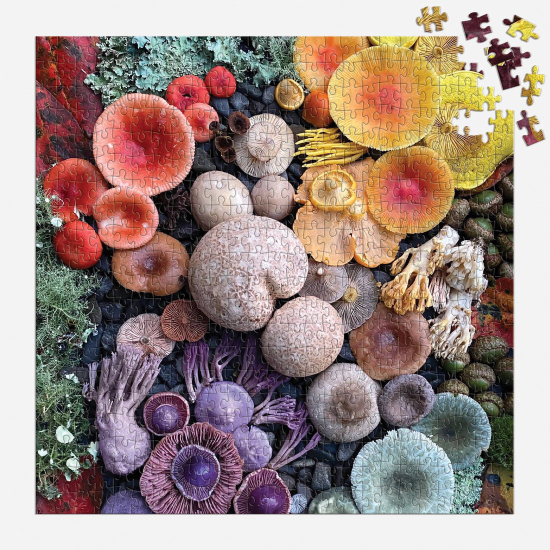 Galison Shrooms in Bloom 500 Piece Puzzle