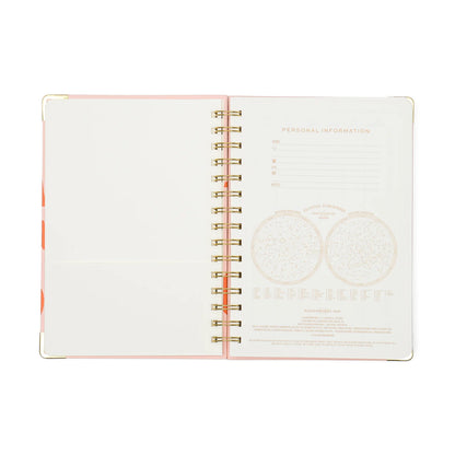 Undated 13 Month Perpetual Planner