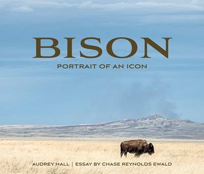 Bison: Portrait of an Icon by Chase Reynolds Ewald